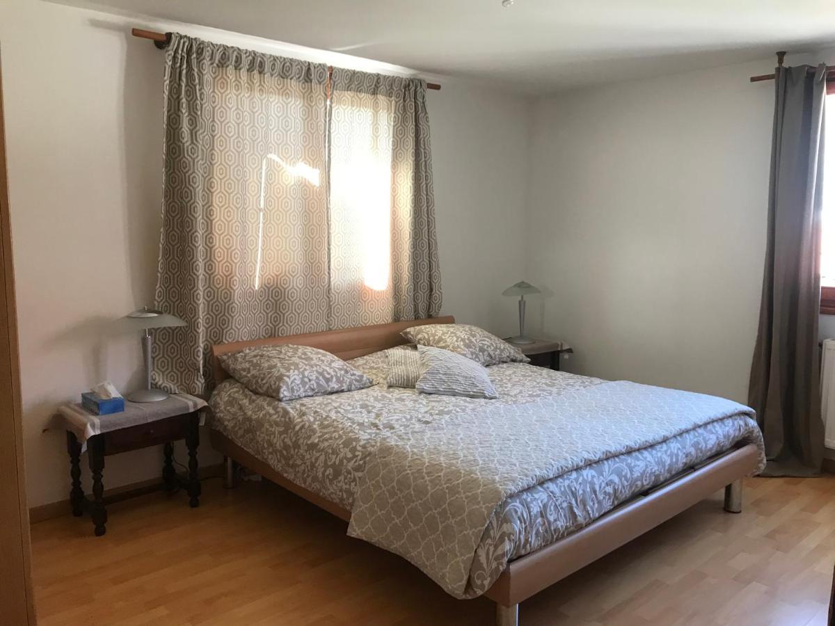 Appartement 2 Chambres Au Coeur Du Vignoble Avec Terrasse Riquewihr Esterno foto